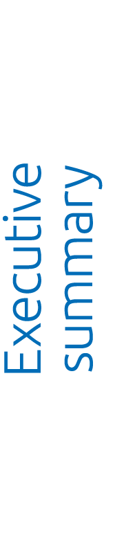Executive summary